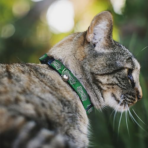 Collier pour chat celtique Buckle Down pour les aventures en extérieur - 3