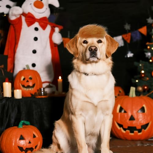 Peluca divertida para perros para fiestas y disfraces miniatura 5