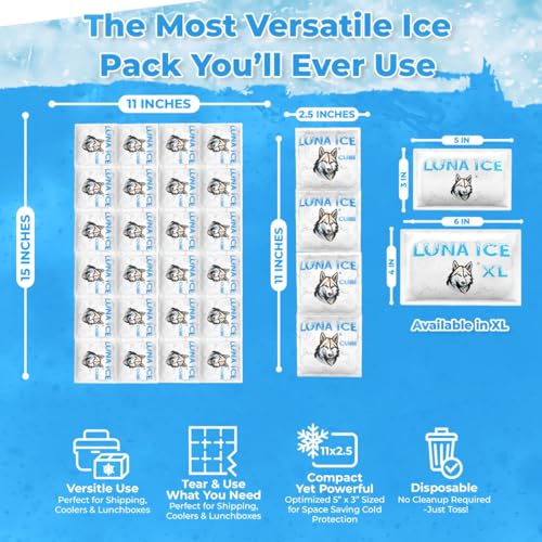 Image of Dry Ice Packs for Shipping Cubes - Long Lasting ice Packs - 24+ Hour Freeze Power - BPA Free - 24 Pack Bulk 1.5 lb - Hielo Seco - Reusable Gel Bricks for Food