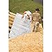 Reflectix BP24050 24-Inch-by-50-Foot Bubble Pack Insulation