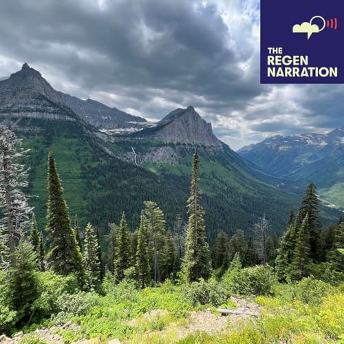 2025 Highlights: The best from our guests, their places & tunes