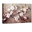 Cherry Blossoms