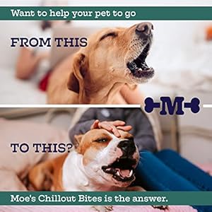 Moe’s Hemp Calming Chews for Dogs – Helps Aid with Storms, Fireworks, Chewing, Barking, Travel, Stress, Anxiety & Separation Anxiety – Tryptophan + Chamomile – Made in The USA – (Peanut Butter)