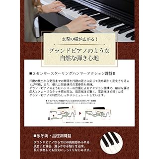 Plans celvien. Casio Plan numérique Celviano AP-470BN. - Les Beatles, Paul McCartney, John Lennon, RIngo Starr, George Harrison Plans celvien. Casio Plan numérique Celviano AP-470BN. – Image 4