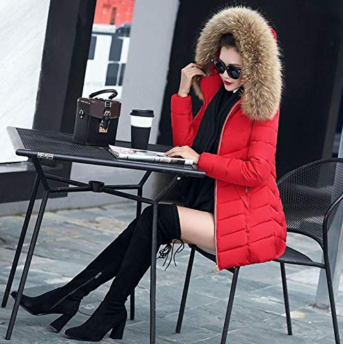 Piumino da donna, invernale, classico, cappotto