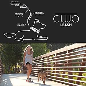 EzyDog Cujo Shock Absorbing Bungee Dog Leash - Best Dog Rope Training Lead - Reflective Trim for Nighttime Safety - Padded Pull Handle for Superior Comfort and Control (40", Black) EzyDog Cujo Shock Absorbing Bungee Dog Leash – Best Dog Rope Training Lead – Reflective Trim for Nighttime Safety – Padded Pull Handle for Superior Comfort and Control (40″, Black)