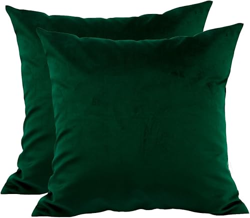 TangDepot Paquete de 2 fundas de almohada de terciopelo sólido, fundas de cojín, fundas de almohada suaves y súper lujosas, fundas de almohada