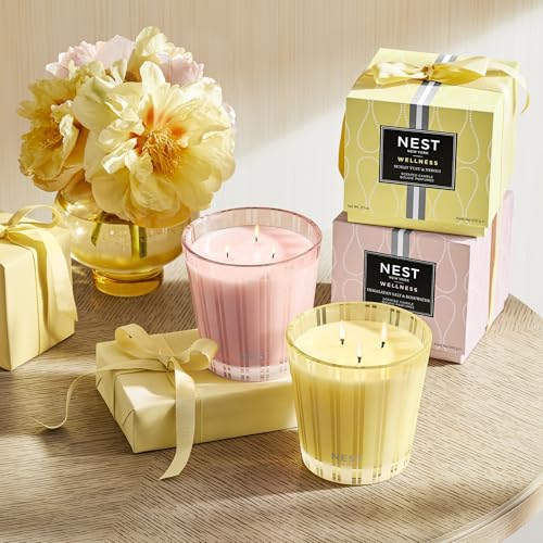 NEST New York Himalayan Salt & Rosewater 3-Wick Candle Duo