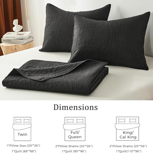 akkialla Queen Quilt Bedding Set,Black Ultrasonic Full/Queen Quilt Set,Lightweight Soft Bedspread Coverlet,Modern Style Coin Pattern Bed Cover for All Seasons,3 Piece(1 Quilt,2 Pillow Shams)