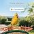 Bird Feeder with Camera,WiFi Smart Bird House with Cam Solar Powered for Outdoor,AI Identify,App Notification,Night Vision,2K Live View,Auto Record Video,Birdwatching Gifts for Family,Birds Lover