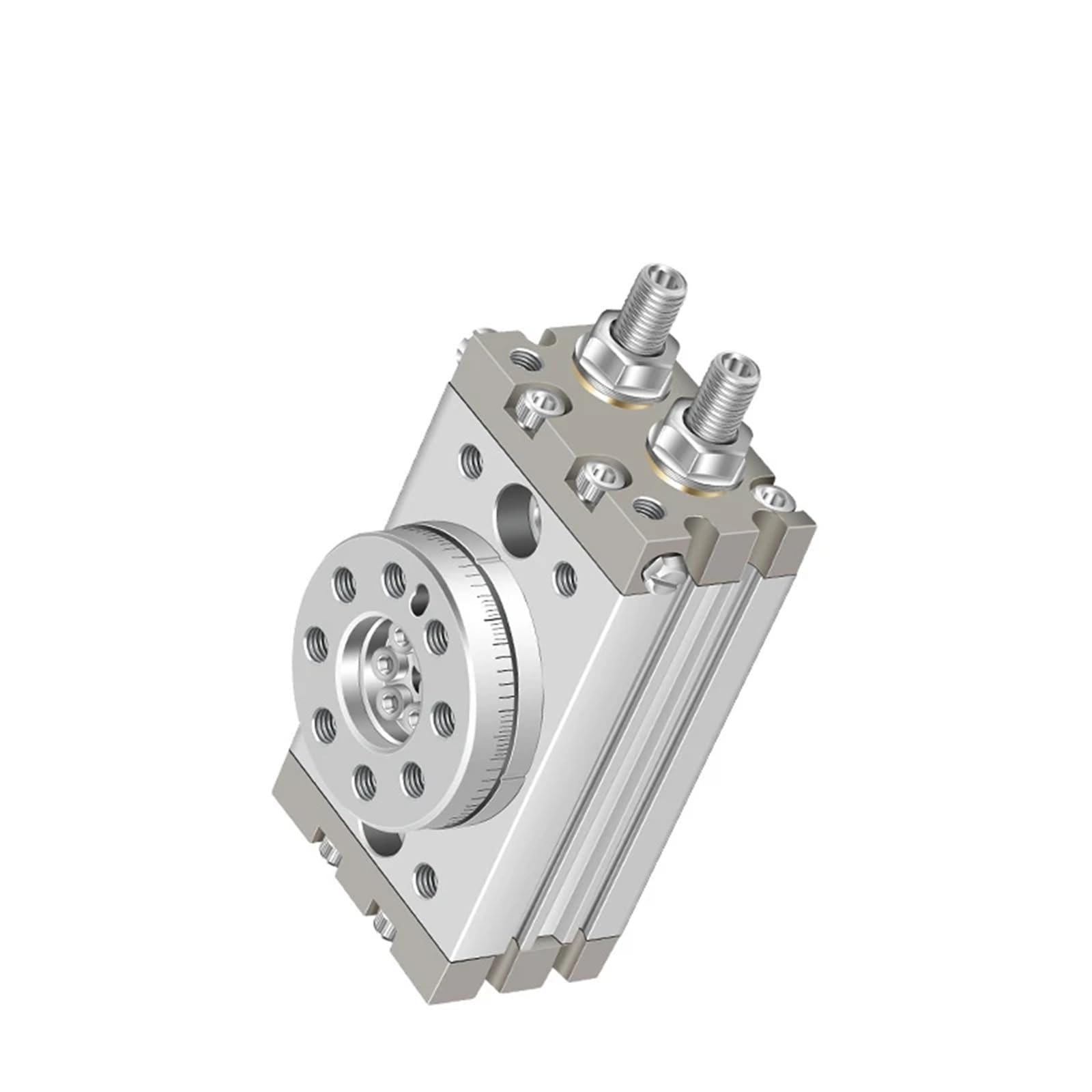 Rotating Pendulum Cylinder MSQB1A MSQB2A MSQB3A MSQB7A MSQB10A MSQB20A MSQB30A MSQB50A MSQB10R MSQB20R MSQB30R MSQB50R(MSQB2A)