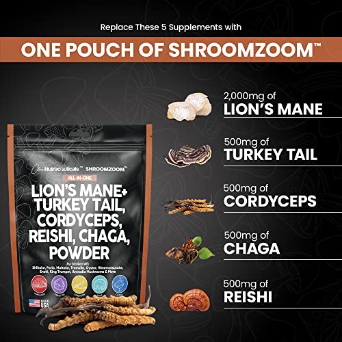 Mushroom Powder Complex Supplement with Lions Mane Mushrooms Turkey Tail Extract Cordyceps Chaga Reishi Maitake Meshima Poria Shiitake Porcini Enoki - Organic Mushroom Blend Mix - Made in USA - Image 3