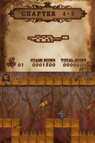 Amazon.com: Ivy the Kiwi? - Nintendo DS (Renewed) : Video Games