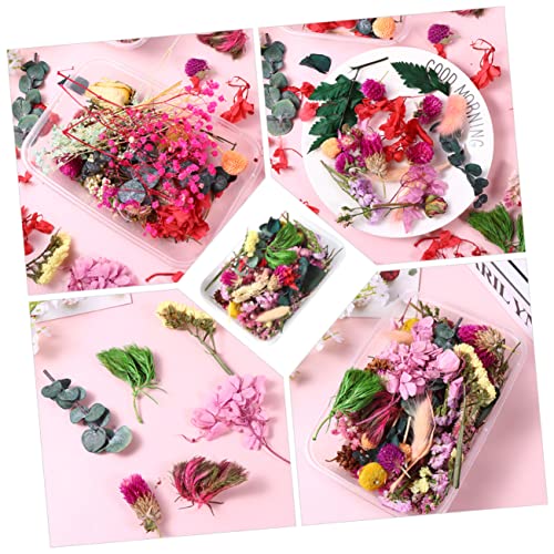 Flores secas naturales decorativas para manualidades DIY miniatura 7