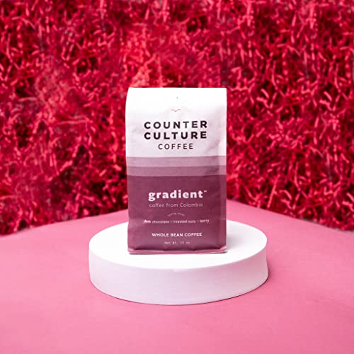 Counter Culture Coffee Gradient - Dark Roast, Kosher, Whole-Bean Colombian Coffee, 12 Oz (1 Bag) #TOP1