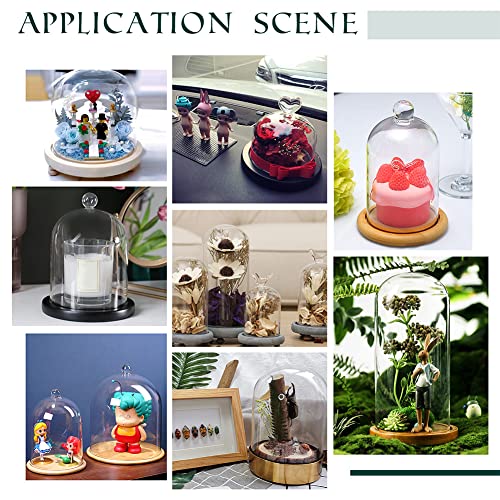 PH PandaHall Glass Display Dome Cloche - Image 3