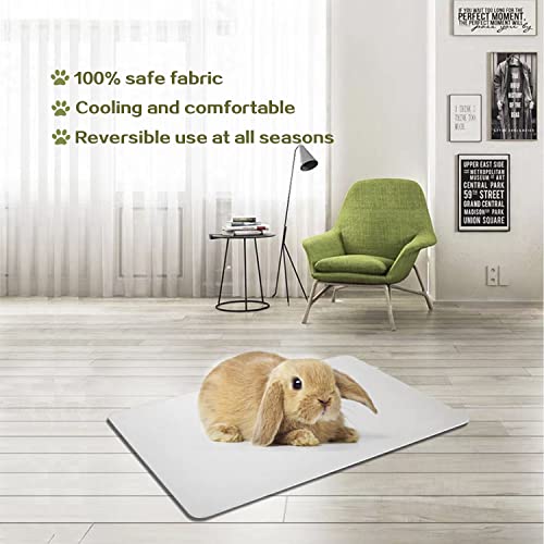 Image of Rabbit Cooling Pad, 11.8x7.9 IN Hamster Cooling Mat Pet Cool Plate for Rabbit Bunny Hamster Guinea Pig & Other Small Pets Stay Cool This Summer - Bite Resistance Pet Cooling Pad Ice Bed (2PCS)