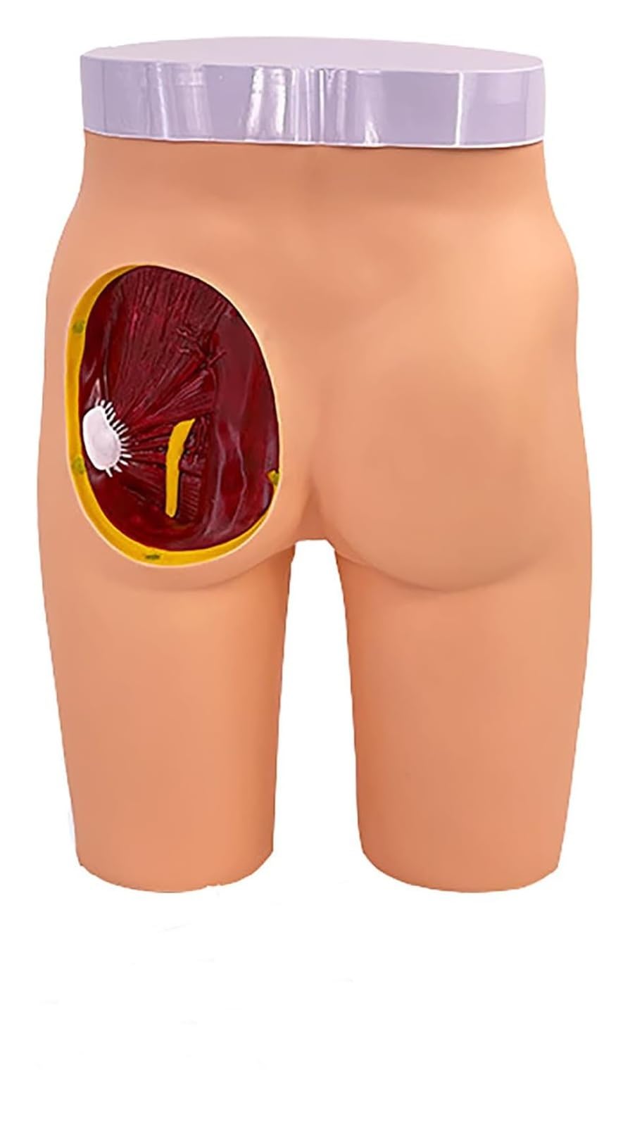 Model iniekcji do mięśni pośladkowych i struktury anatomicznej, model do ćwiczeń iniekcji do pośladków, 3 metody treningu iniekcji, możliwość usunięcia 1/4 lewego biodra, do ćwiczeń dla studentów