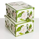 Kanguru SET 2 Cajas de almacenamiento ropa, cajas decorativas en carton, 39x50x24cm, orden del armario baul para de bolsas para guardar ropa. Caja almacenaje con tapa, CAMELIAS