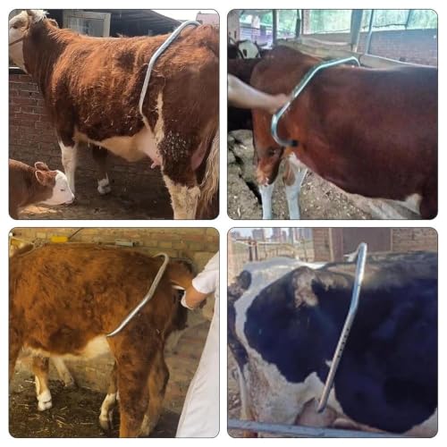 Image of Cow Anti Kick Bar - Adjustable Stainless Steel Milking Leg Holder & Kick Stopper for Cows and Buffalo, Dairy Farm Safety Restrainer Bar | Adjustable