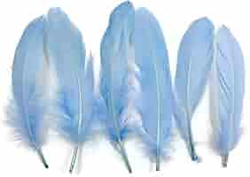 bluee feathers はまく〜ん様 3本おまとめ品 Amazon | PCX160 バイクマフラー 2BK-KF47 8BJ-KF47 2021年