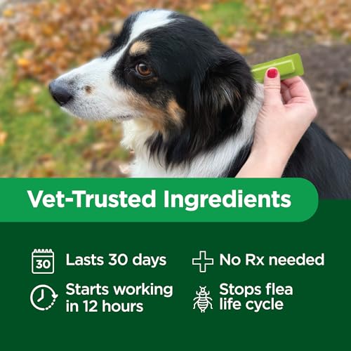 TevraPet Activate II Flea and Tick Prevention for Dogs, Small Dogs 4-10 lbs, Topical Drops, 4 Months Flea and Tick Treatment - Image 6