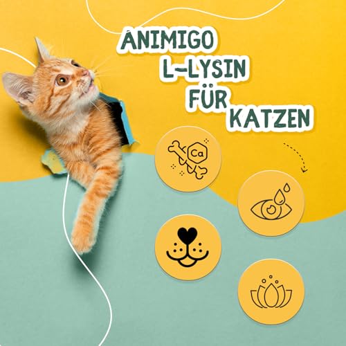 animigo L-Lysin für Katzen - 250g Pulver - Essenzielle Aminosäure L Lysin - Inklusive Messlöffel - Frei von Gluten & Laktose - Für jeden Alters - Ergänzungsfuttermittel für Katzen
