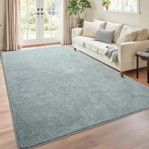 Chicrug Minimalist Washable Area