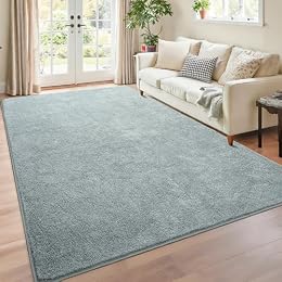 Chicrug Grey 4x6 Minimalist Washable Area Rugs for Bedroom Living Room