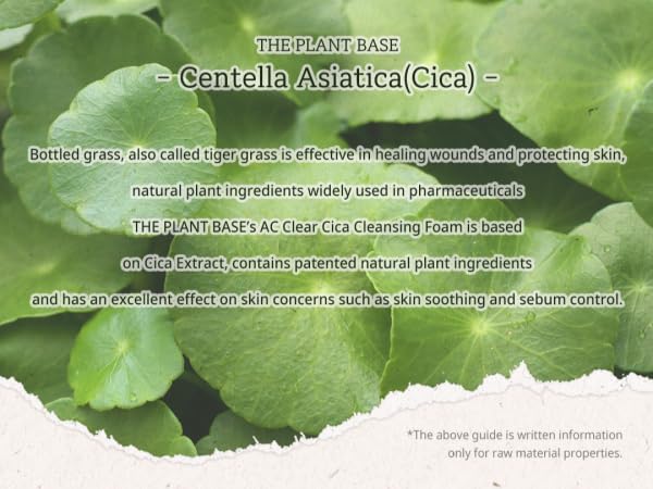 Miniatura 3 de THE PLANT BASE AC Clear Cica Cleansing Foam 4.1 fl oz  4.05 Fl oz  Espuma CICA  Centella asiática 47%  AHA, BHA, PHA, LHA  Cuidado de la piel