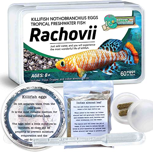 GREEN WATER FARM Killifish Eggs Nothobranchius [Rachovii] - Tropical Freshwater Fish Eggs for Hatching Packed with Food Dropper and Indian Almond Leaves Suitable for Education and as a Hobby