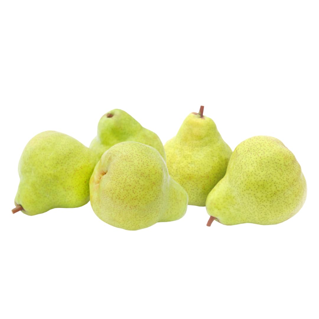 Capital City Fruit Fresh Pears Gift Box | Gift for Holiday, Thank You, Get Well | Sympathy Gift Box | Sweet and Fresh Fruit | Healthy Snack | 8 Piece Pears