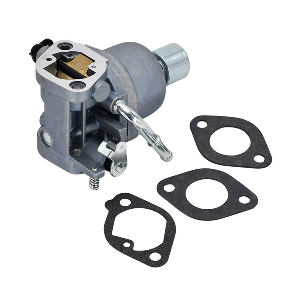 Carburateur OEM 699807 697722 pièce tondeuse 74591 74592 74704