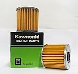 Genuine Kawasaki Oil Filter Part Number 16099-004, 2 pack