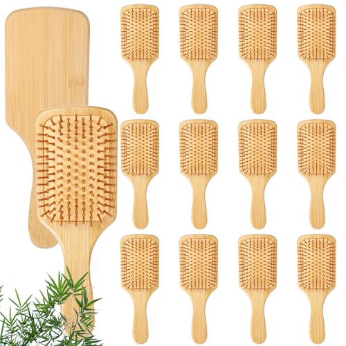10 Pcs Bamboo Hair Brush for Detangling and Scalp