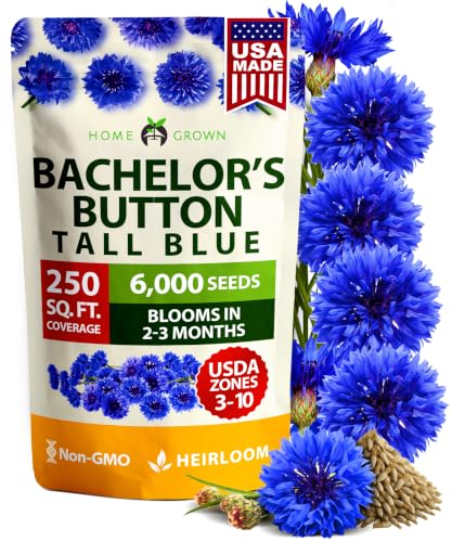 Image of HOME GROWN Bachelor Button Seeds Tall Blue - 6000 Cornflower, Stunning Blue Blooms for Wildflower Gardens, Non-GMO Flowers & Pollinator-Friendly Spaces, Low Maintenance Flower Seeds (Centaurea cyanus)