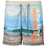 Superdry Herren Badeshorts Photographic Volley grau (231) M