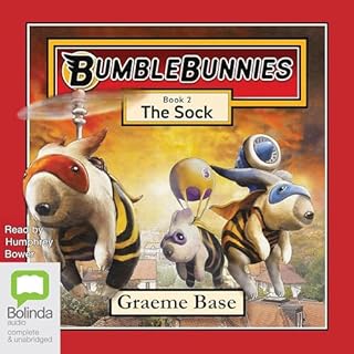 The Sock cover art