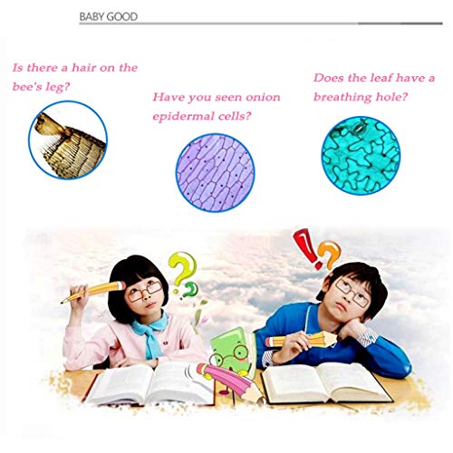 HSKB Digital Mikroskop, USB Elektronisch Digitalmikroskop Endoskop Vergrößerung Endoskop Microscope 2,0 MP Microscope… – Bild 4