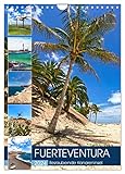 FUERTEVENTURA Bezaubernde Kanareninsel (Wandkalender 2024 DIN A4 hoch), CALVENDO Monatskalender