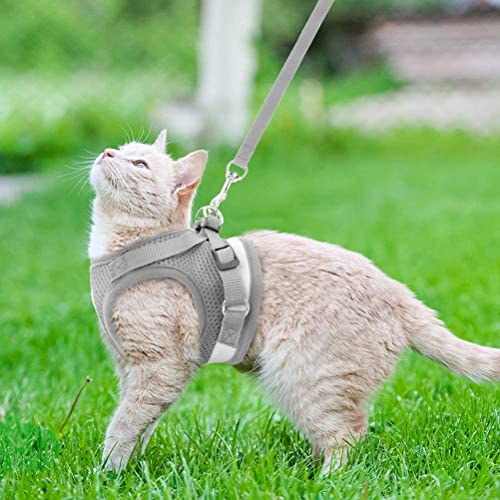 SCIROKKO Cat Harness and Leash Escape Proof - Kitten Vest Harness with Magic Tape Adjustable (M, Grey) - Image 8