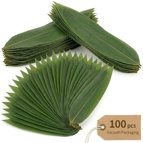 DOITOOL 100 platos de sushi con hojas de bambú para cocinar Zongzi, sustitutos de hoja de plátano para hacer aperitivos chinos al vacío, hojas, kit de alimentos, decoración de hojas para