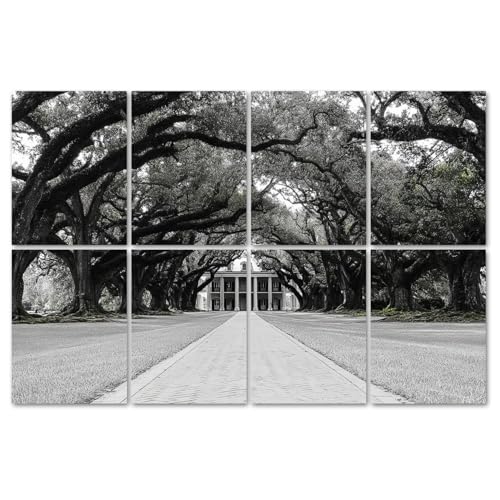 8 Pack Art Acoustic Panels Sound Absorbing Oak Alley Plantation Decorative Soundproof Wall Panels Self Adhesive for Home Recording Studios 48"x32"