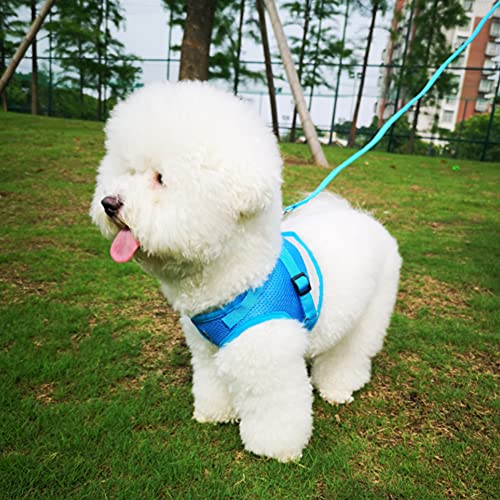 Image of FEimaX Dog Harness and Leash Set for Walking, Soft Mesh Adjustable Easy Control Lightweight Cat Vest Harnesses with Reflective Strips, Escape Proof Small Dogs Cats Vests (Azure, Small)