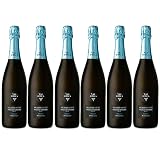 6 BOTTIGLIE PROSECCO VAL D`OCA EXTRA BRUT MILLESIMATO DOCG