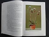 Die Orchideen - ihre Beschreibung , Kultur und Züchtung
