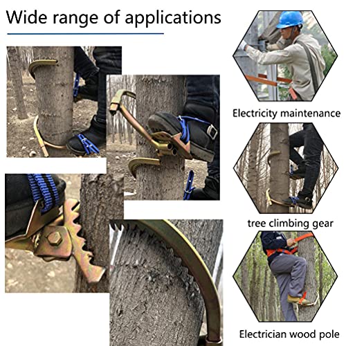 Pointes d'escalade pour arbres avec fixations faciles Modèle 500 - 3