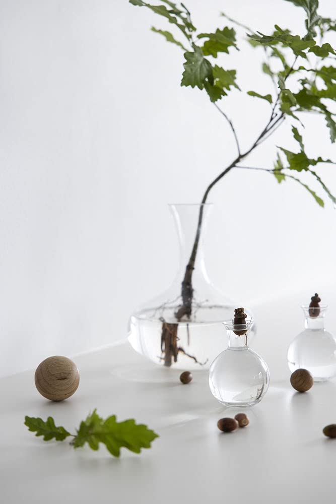 Sagaform - Ensemble huilier et vinaigrier avec Bouchons en chêne (5015337), Verre Bois Dense, Verre, 8.0x8.0x12.0 cm