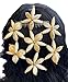 Women Kippah kippot judaica yarmulke