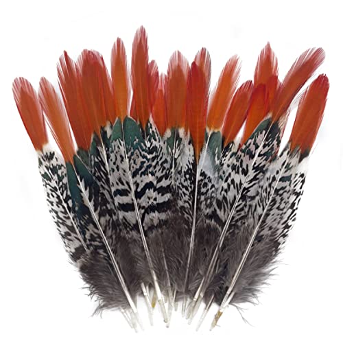 20Pcs Natural Spotted Feathers Pheasant Feathers For Craft Clothing Jewelry Accessories Decoration (Red Tip Lady Amherst Pheasant Tails Feather 6-8") #TOP25